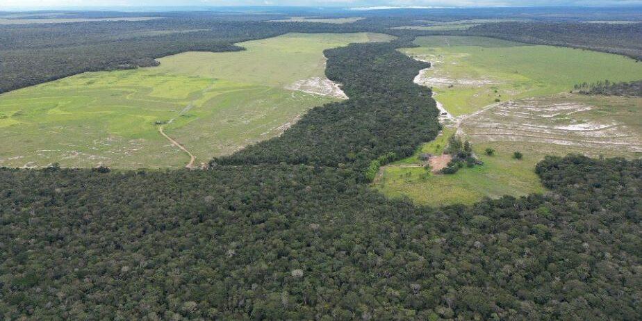 Imóvel Rural próximo a Vilhena/RO com 999,51 ha